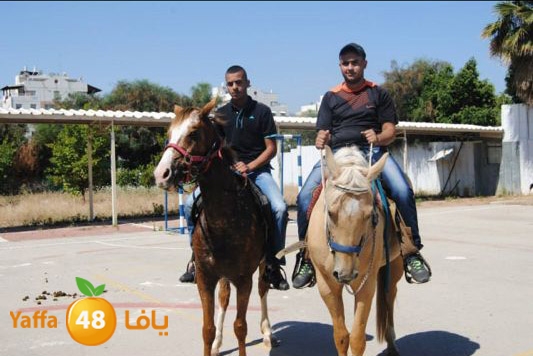 torath droor  (22).JPG